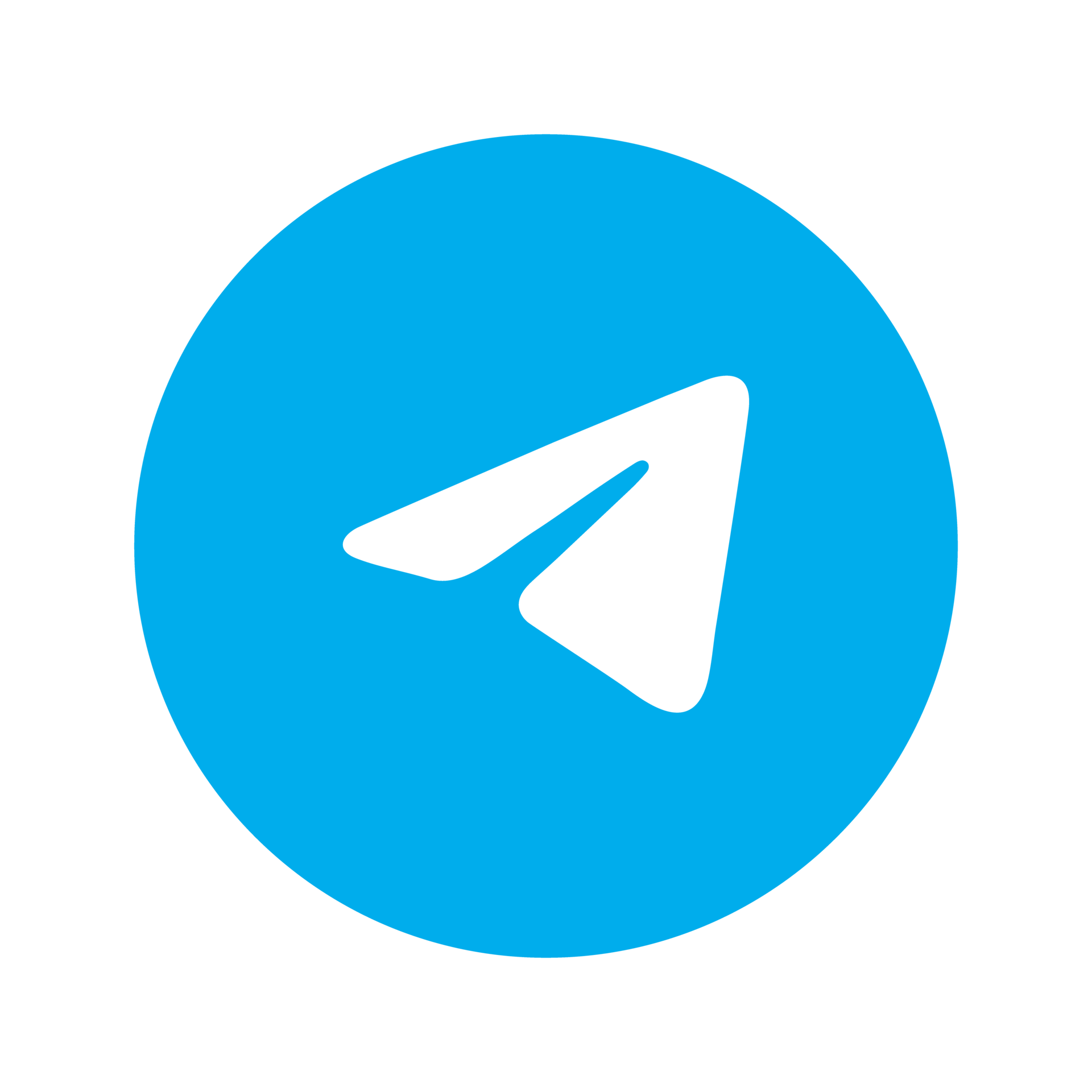 Поддержка в Telegram